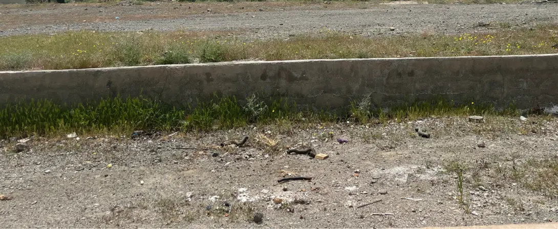 زمین صنوف الاینده( شخصی)