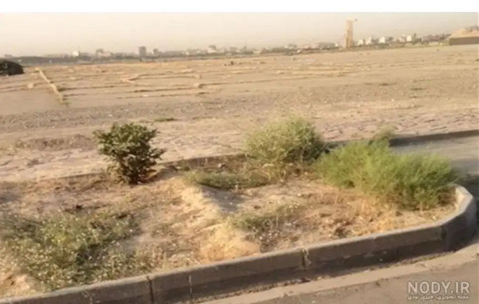 زمین. طرح جوانی جمعیت طرح فرزنداوری