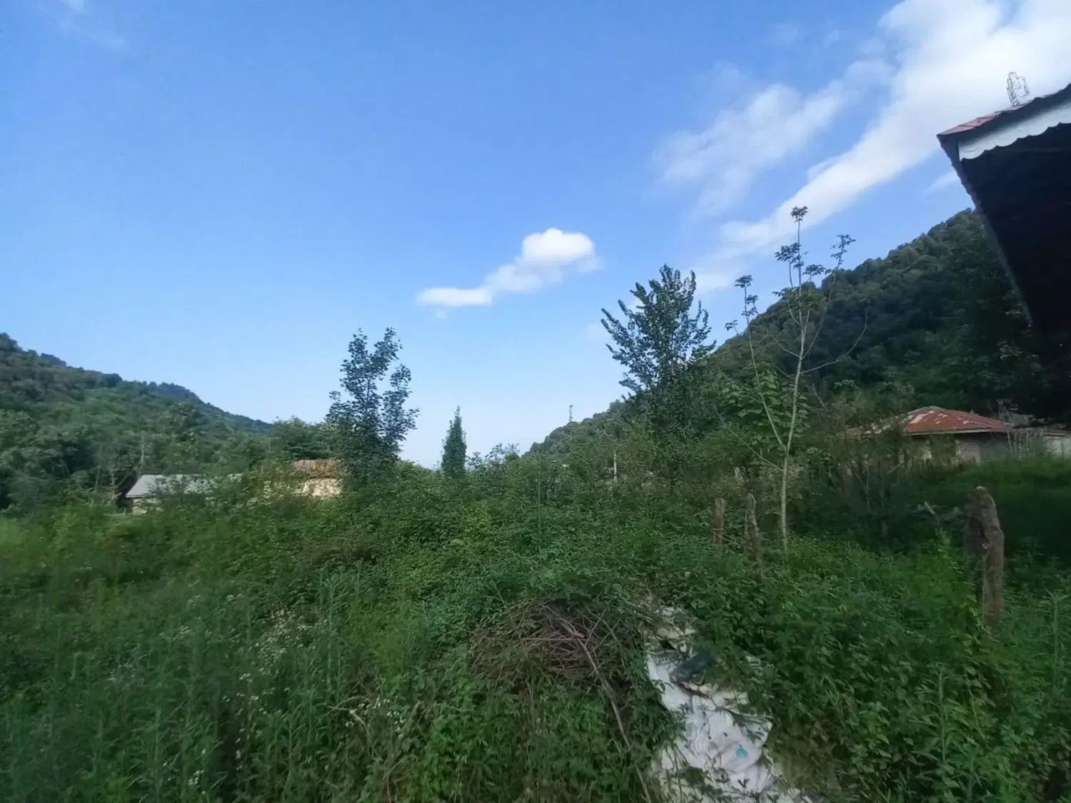 زمین مسکونی گیلان
