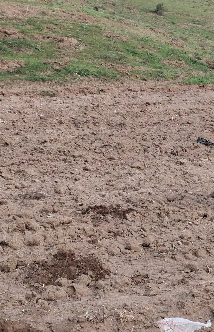 باغ در روستای کرامه