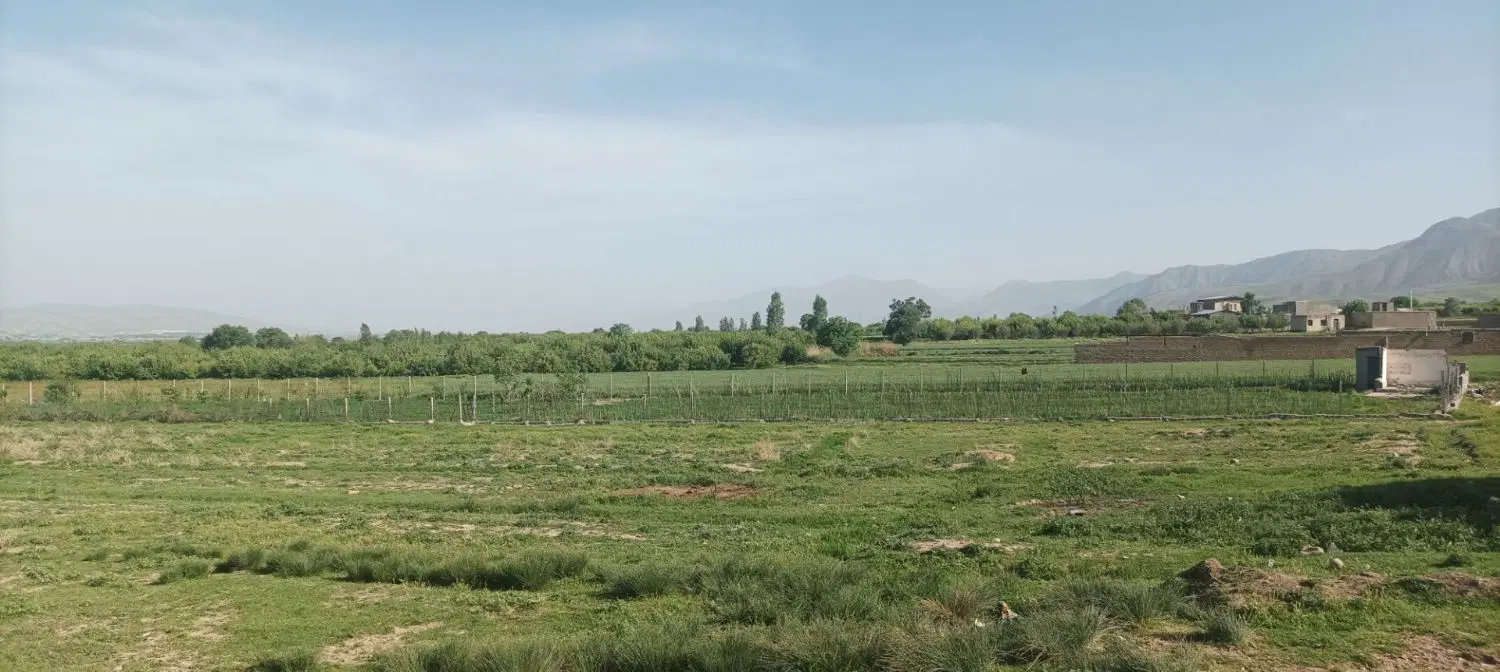 ۲ پلاک زمین اول روستای فیال