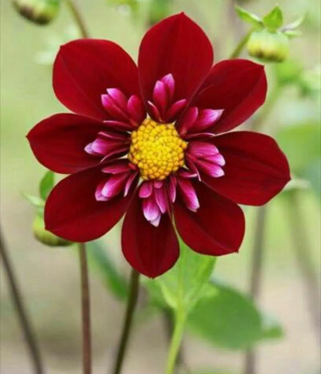 باغ جاده تبریز