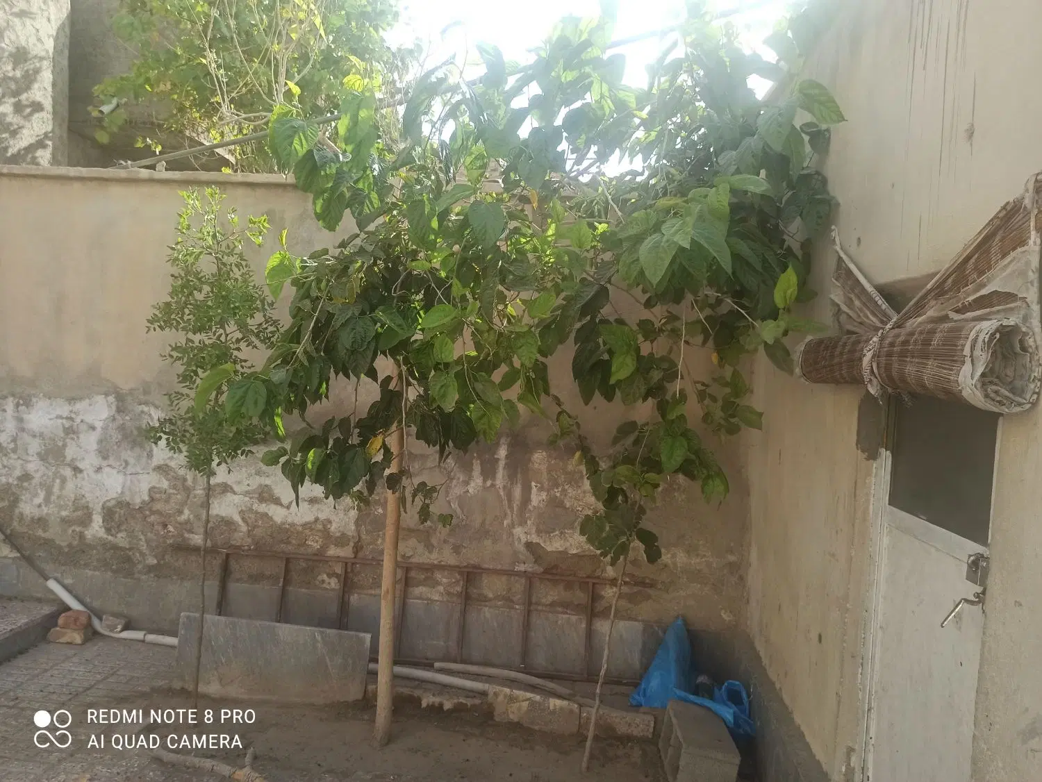 فروش شش دانگ منزل ویلایی در شهید فاظلی