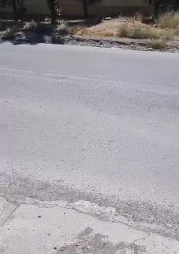 سوله تجاری ۴۸۰ متر تک برگ