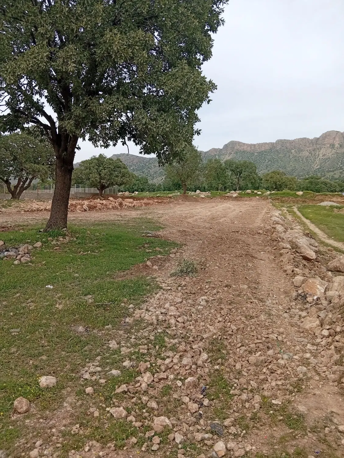زمین