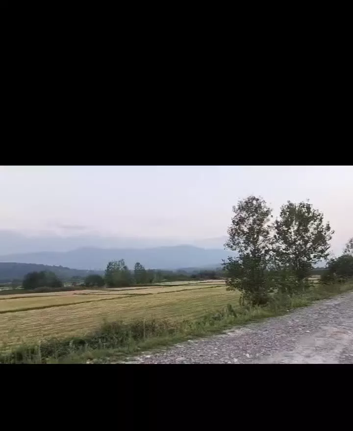 زمین زراعی نسق معتبر بهترین موقعیت مکانی