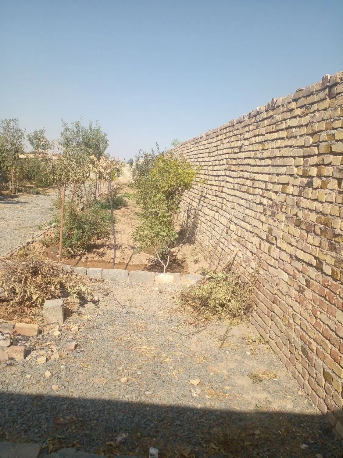 باغ جاده میقان سندار