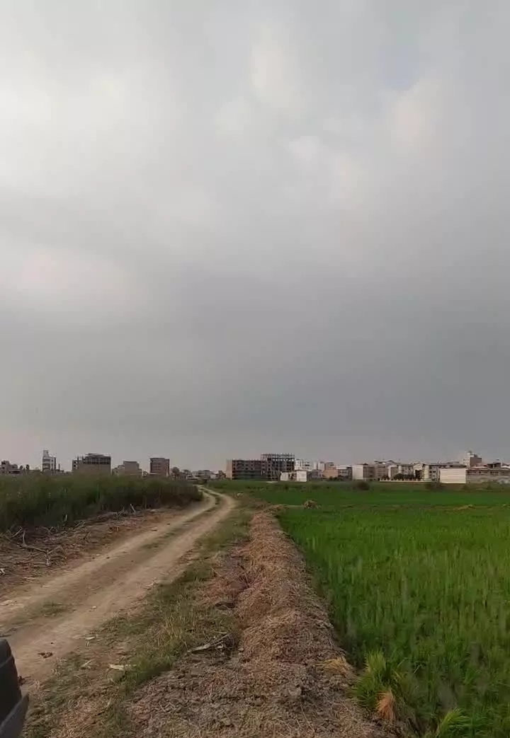 زمین کشاورزی چسبیده به بافت علی آبادکتول