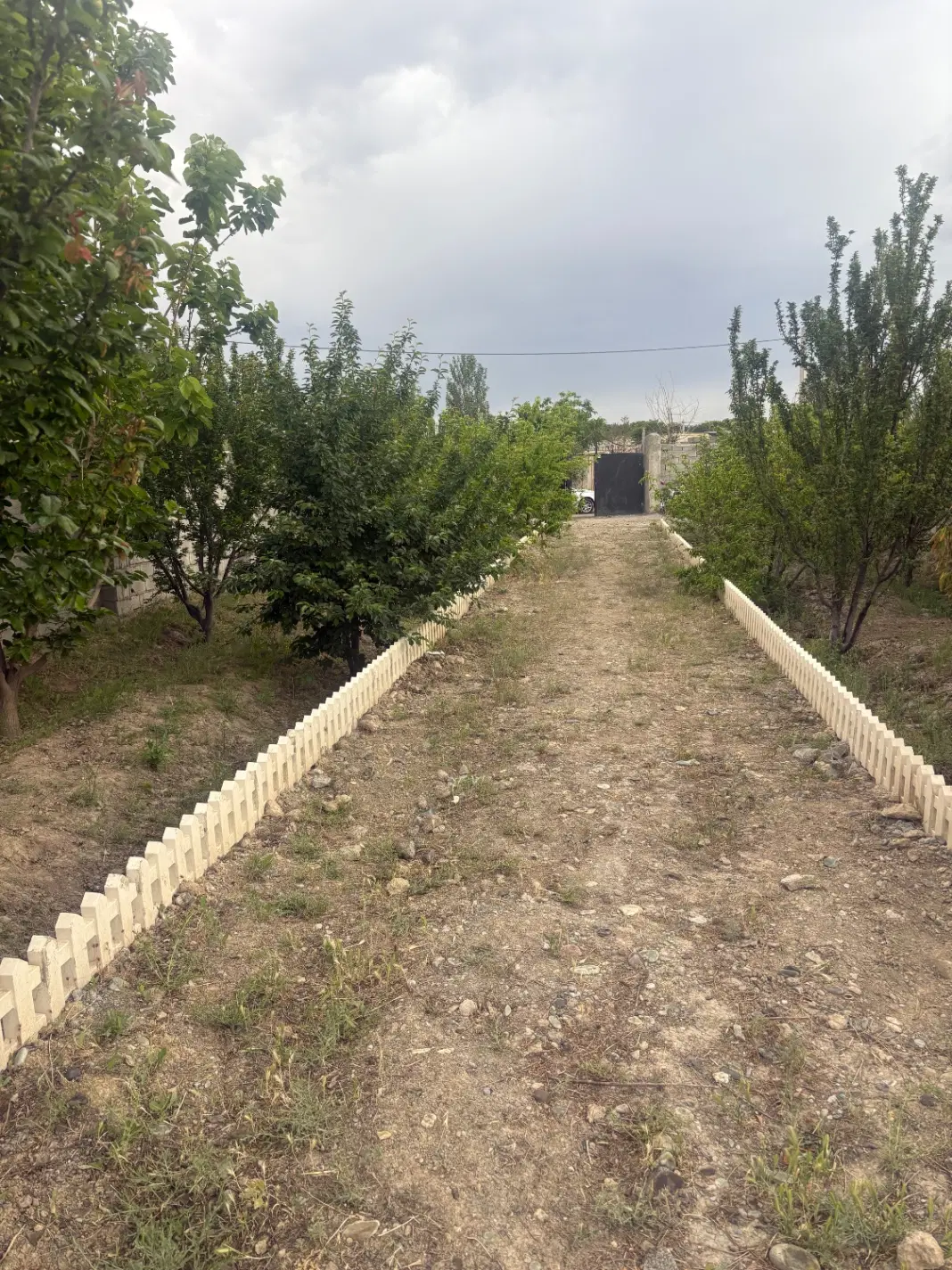 باغچه ۳۸۰ متری خیابان ایرانسل