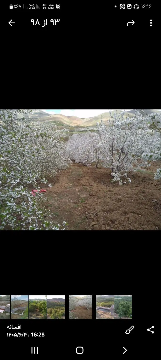 باغ گیلاس وآلبالو