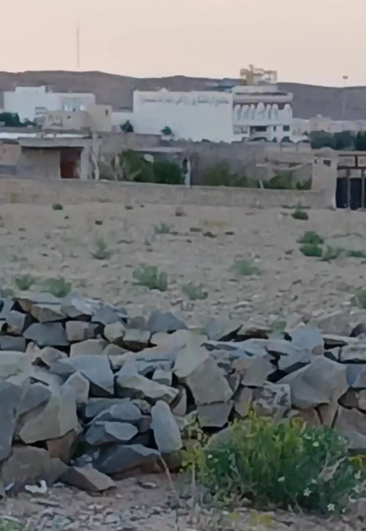 زمین زراعی در شهر کهک داخل طرح
