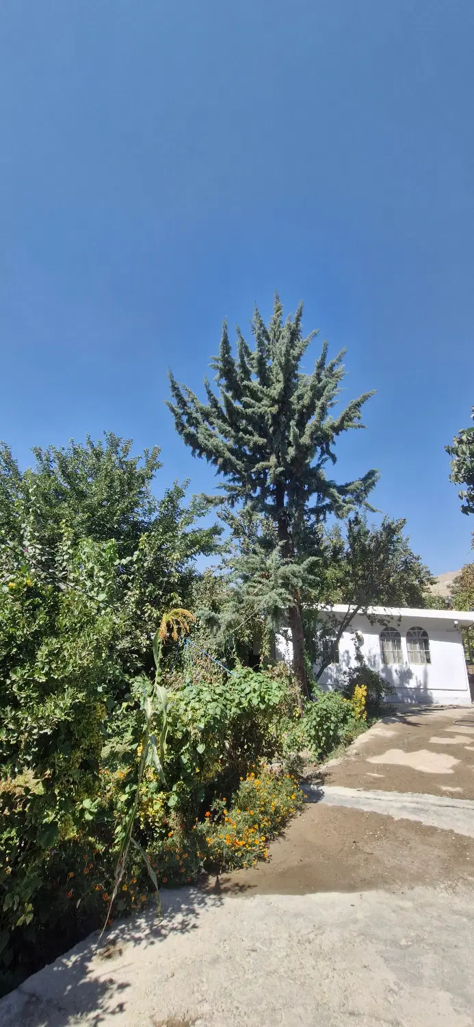 مشارکت در ساخت