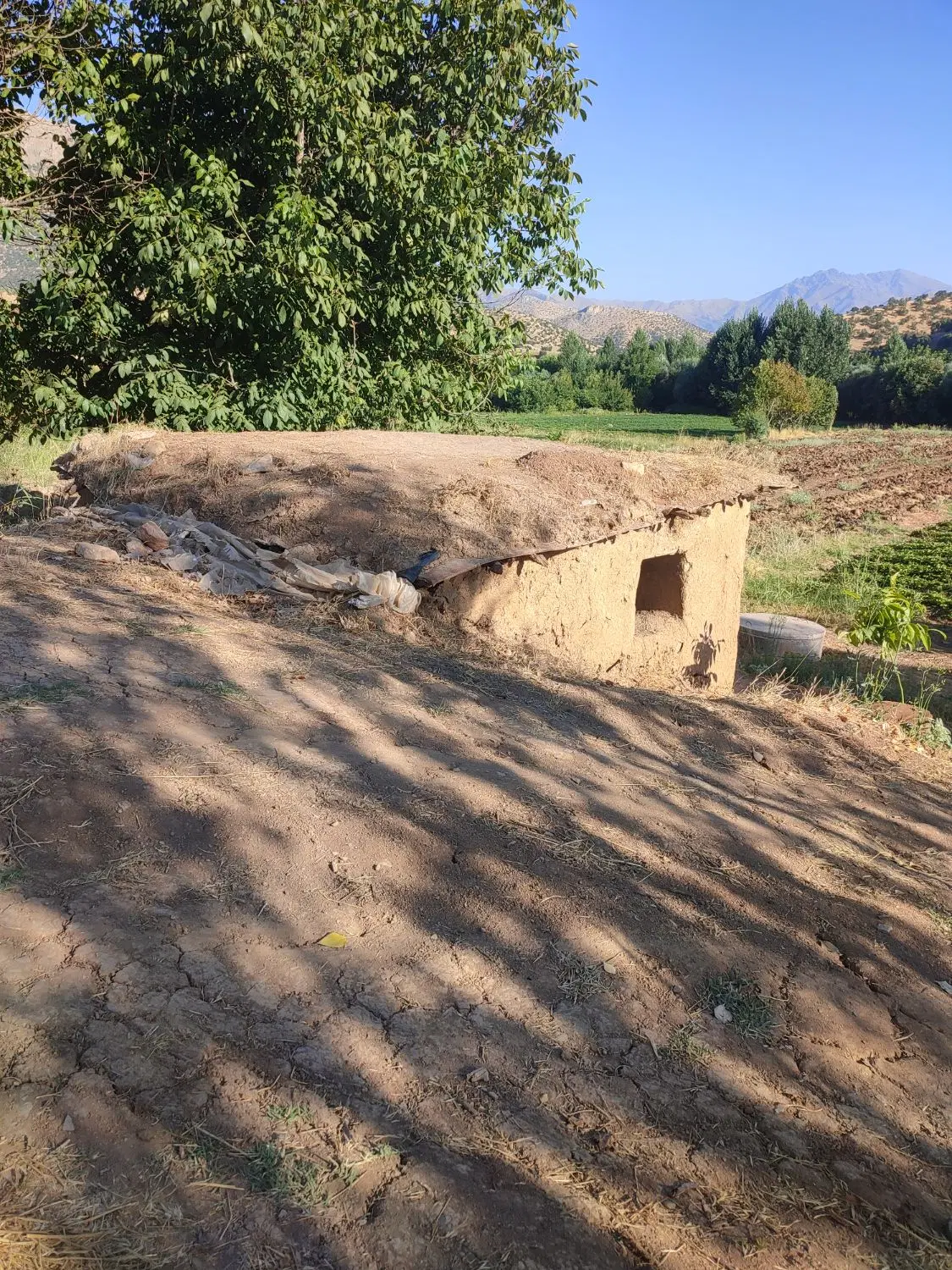 زمین کشاورزی