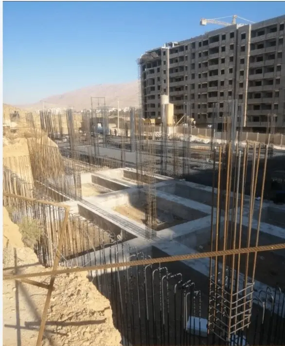 فروش پروژه زیتون