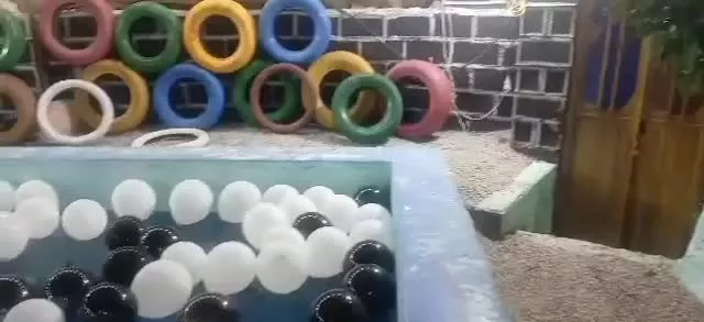 باغچه تفریحی