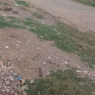 زمین مسکونی خوش قواره شهرک فرهنگیان
