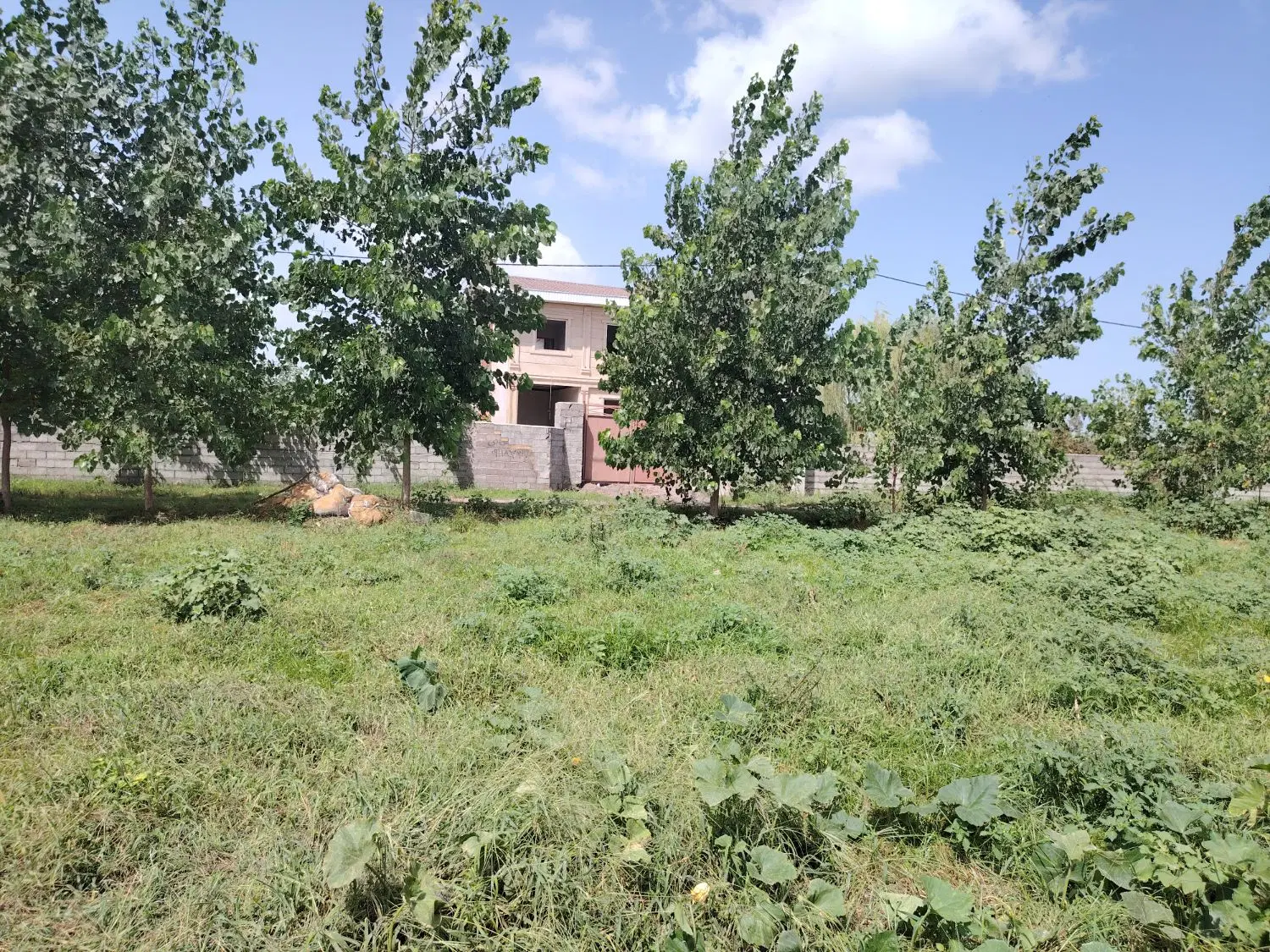 زمین مسکونی 300 متر