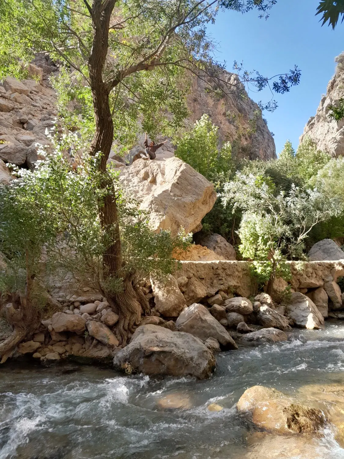 زمین مناسب باغ وویلا یا کارگاهی