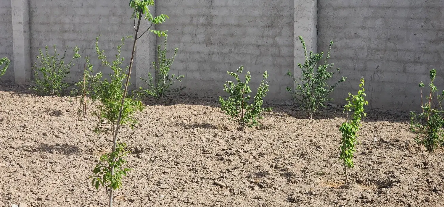 زمین ۷۰۰متری دهشاد شهریار