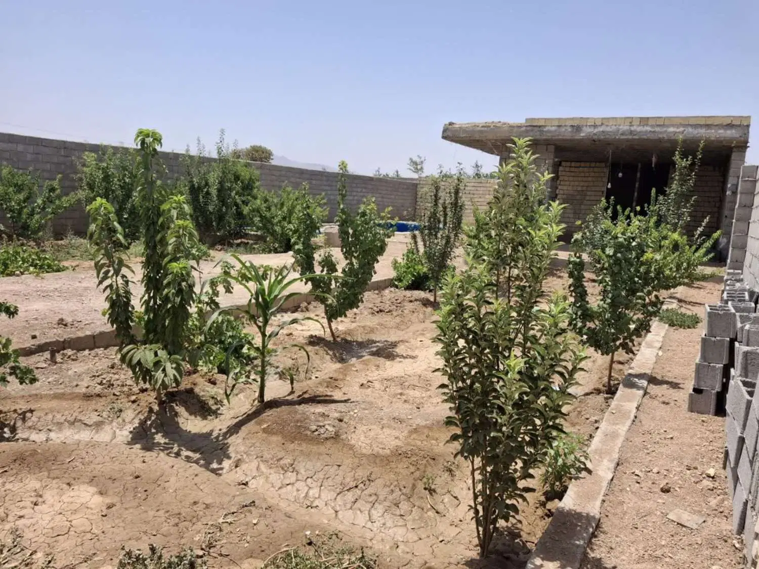 فروش باغ ویلایی