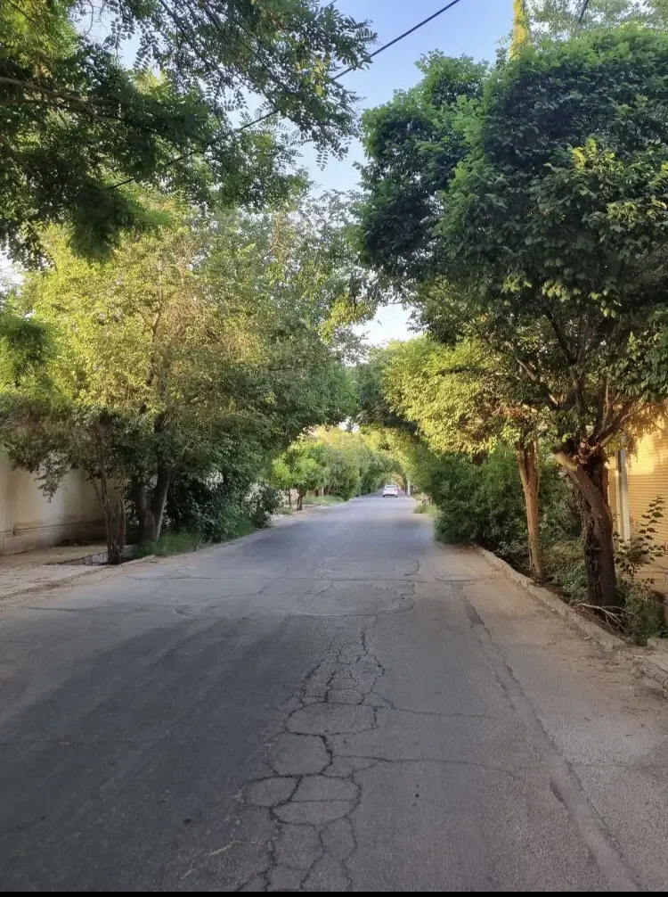 زمین اپارتمان بلوار جمهوری کوچه شرق