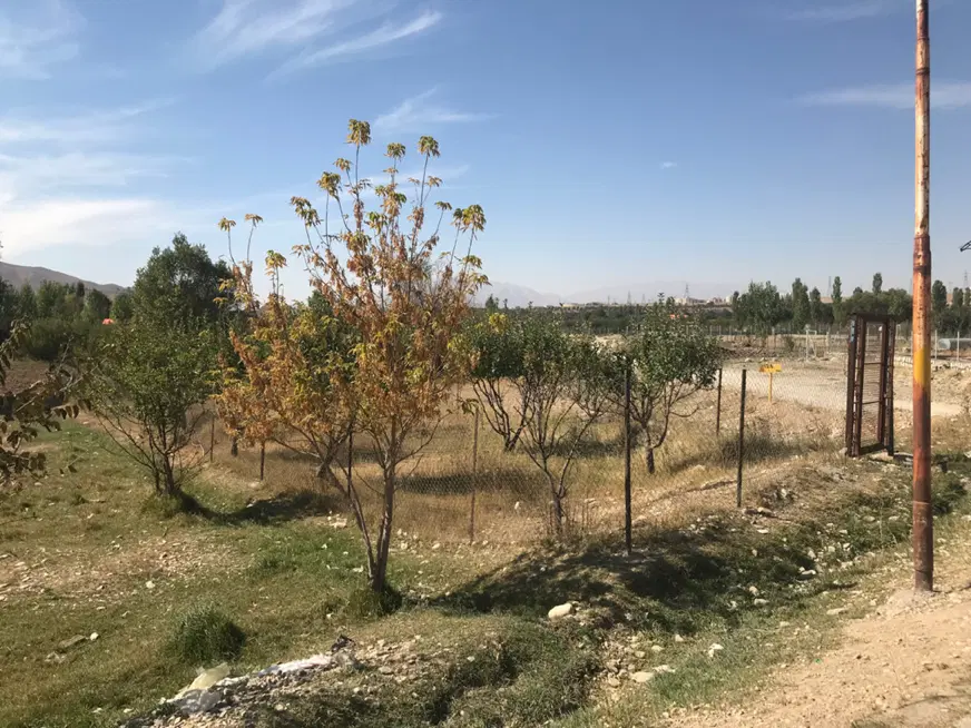 زمین دو نبش سند تکبرگ