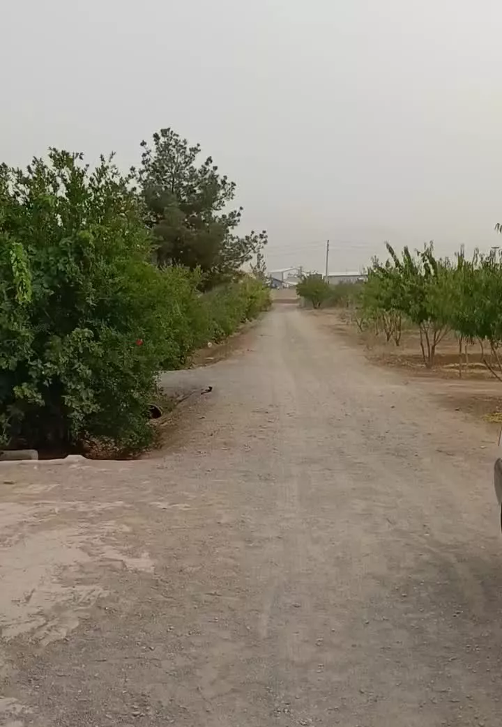 خانه باغ نقلی