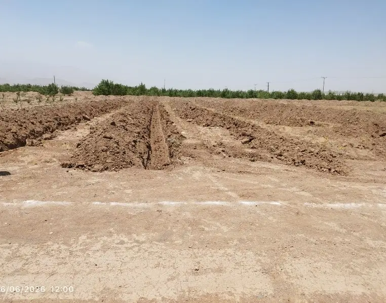 زمین کشاورزی
