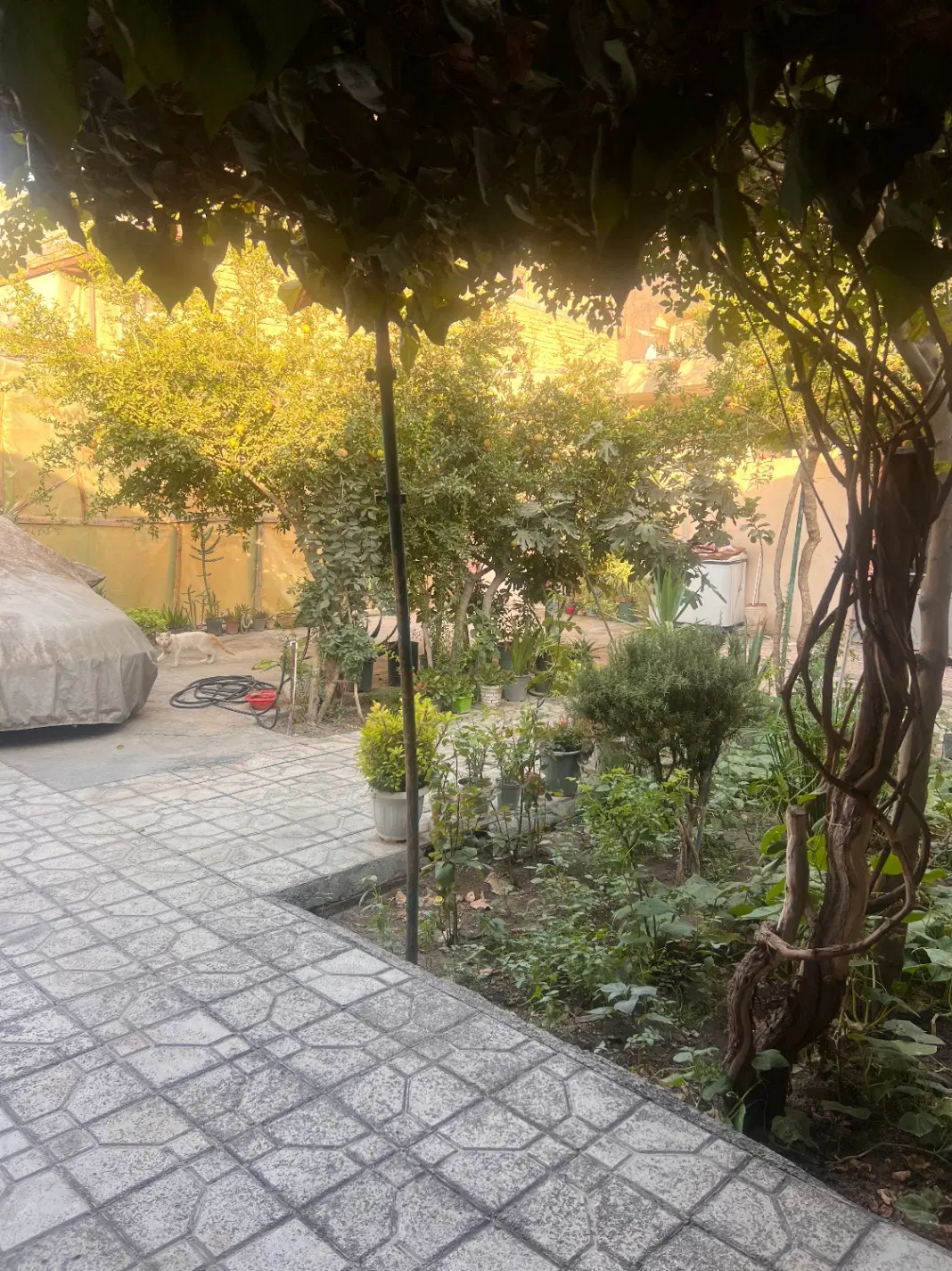 فروش خانه کلنگی ۴۴۰ متری با ۲۰ متر تجاری