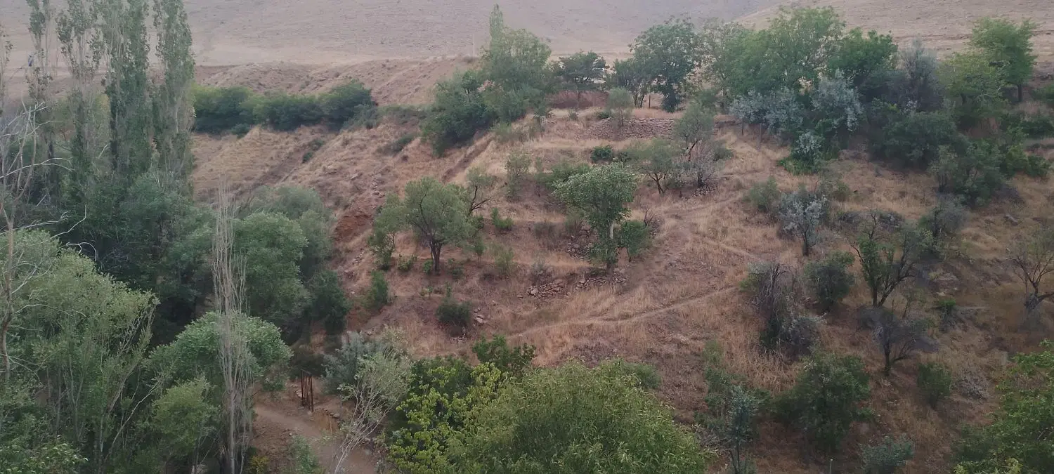 باغ زیبا با موقعیت مکانی خوب