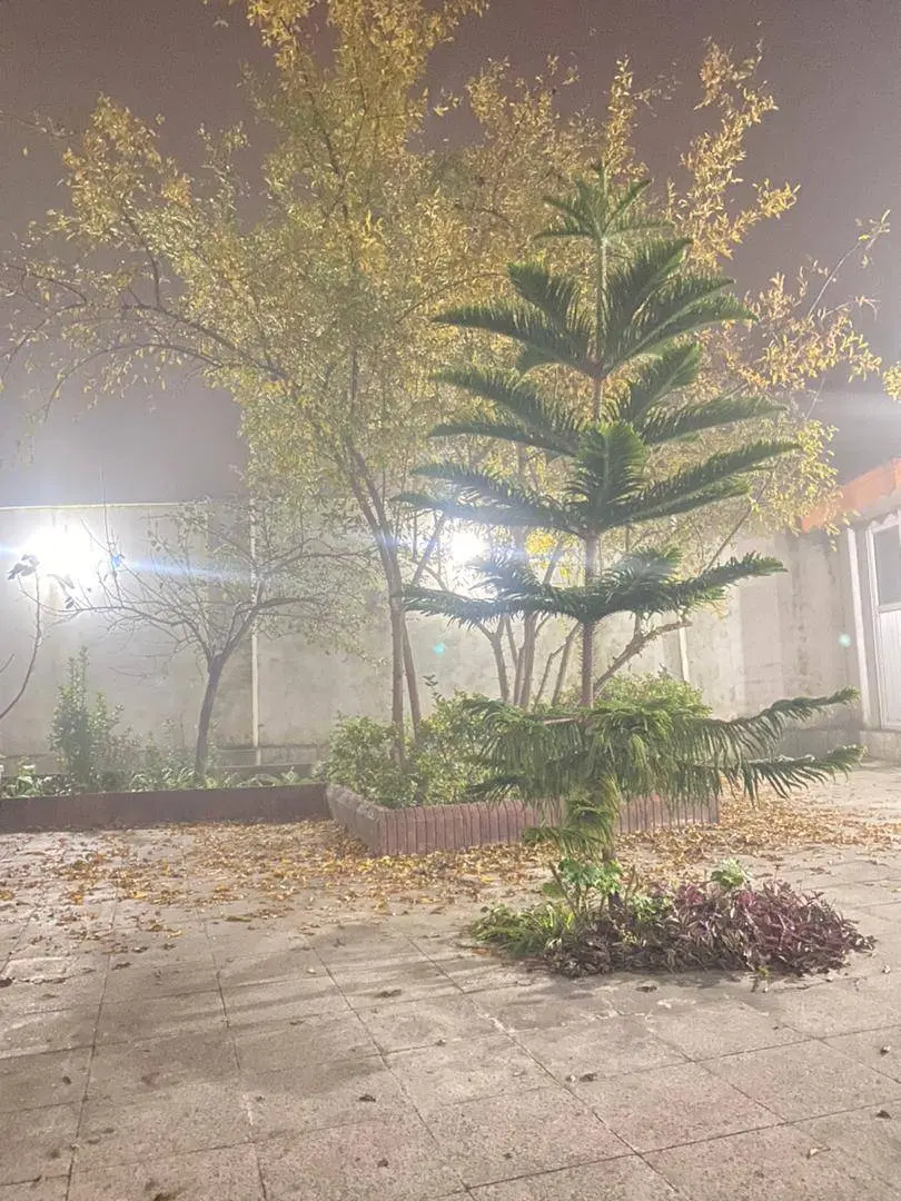 اجاره ویلایی