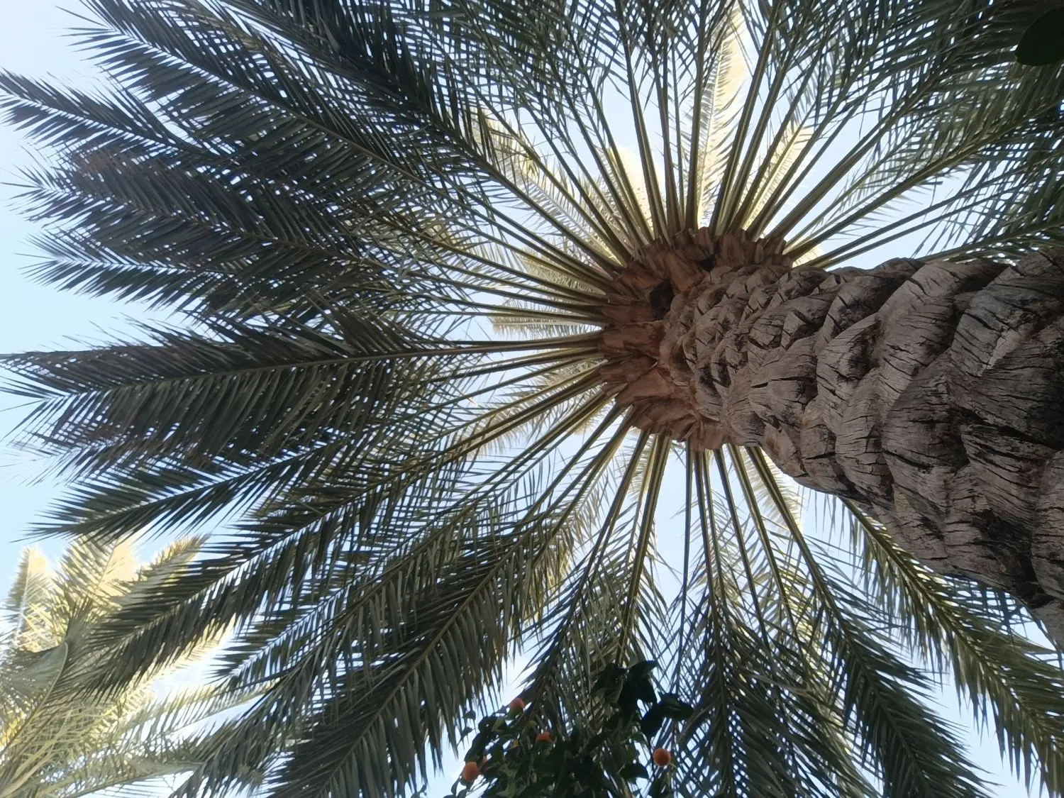 فروش زمین در شمال شهرک بهارستان بائن