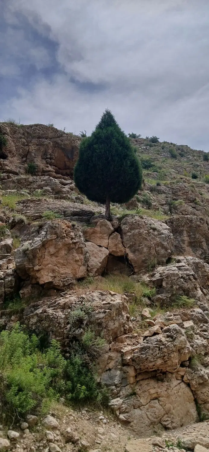 فروش زمین