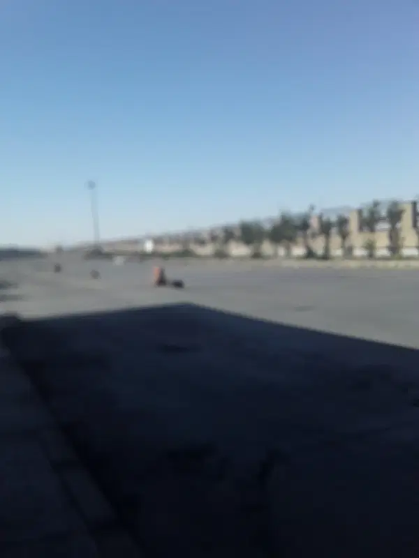 باغ