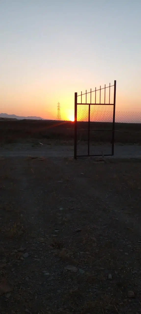 باغ چهار ساله