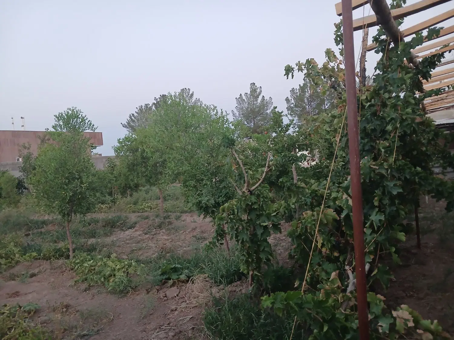 اجاره ۶۰ متر تجاری نرجس