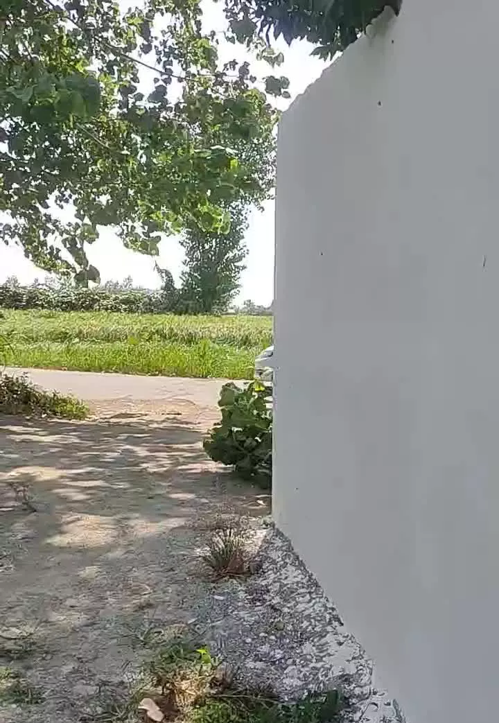 ۶۰۰ متر درون طرح هادی