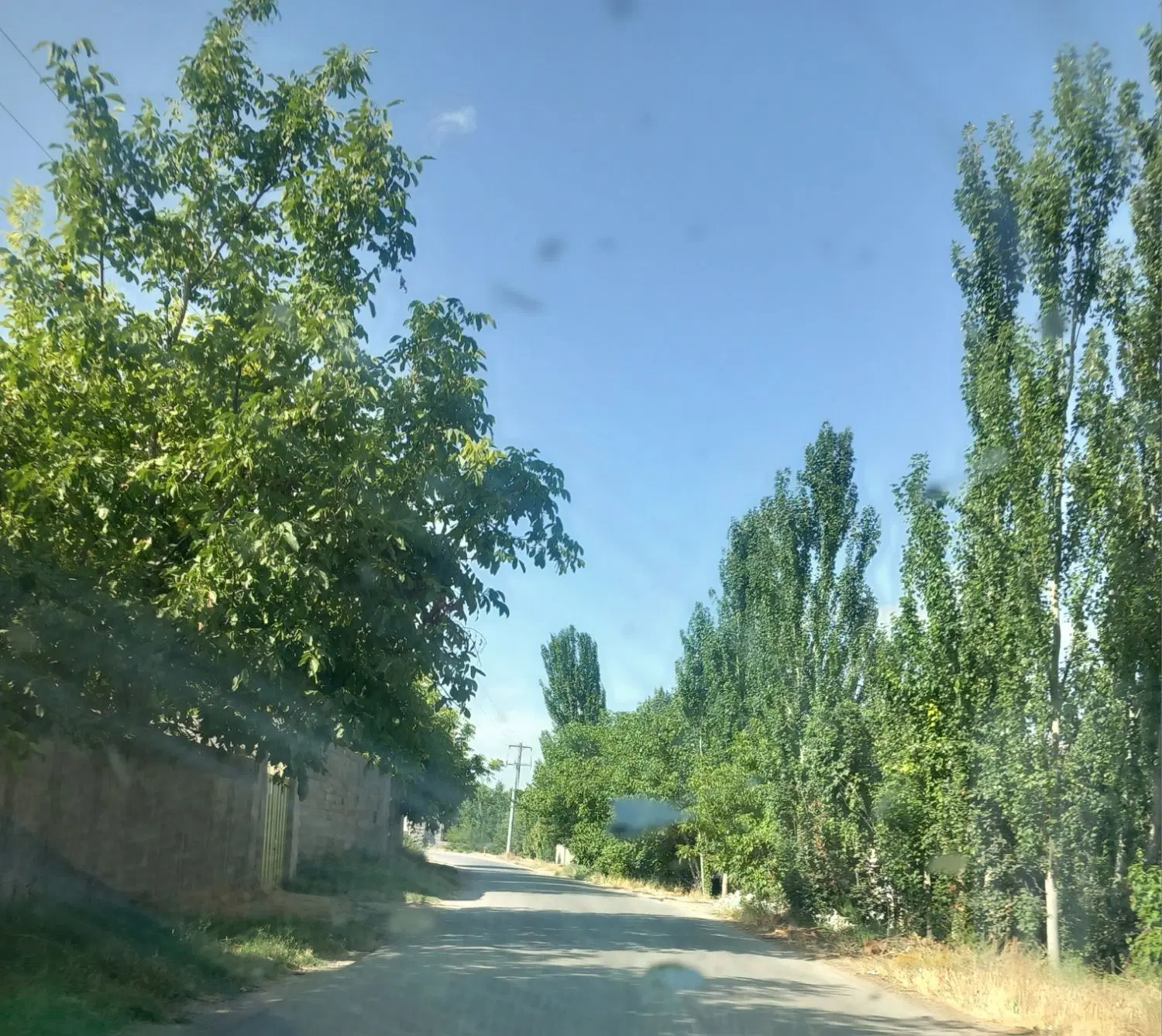 باغچه ۲۵۰ متری نقد و اقساط ماهی ۲۰ تومان