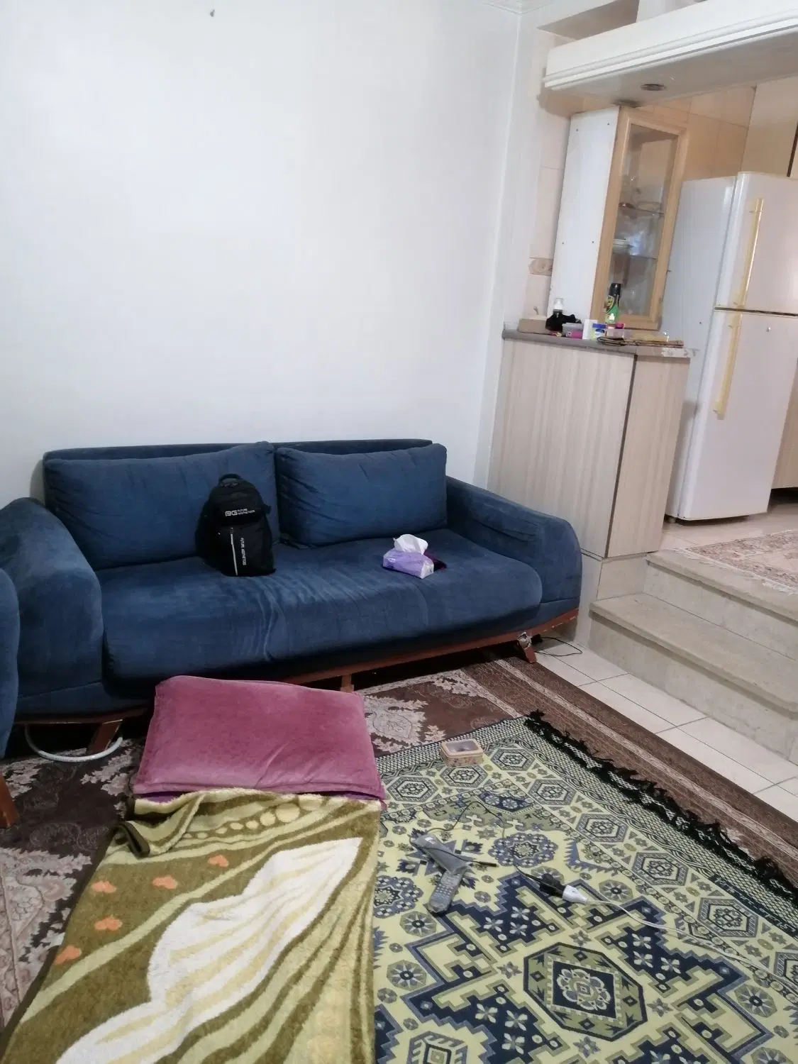 همخانه خانم