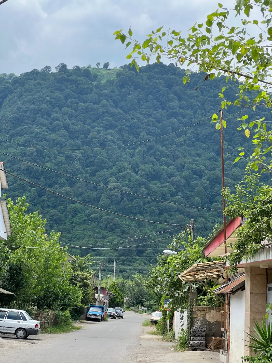 فروش زمین ۳۳۵با بنا قدیمی لیالستان