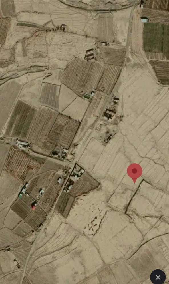 زمین دشت بجد