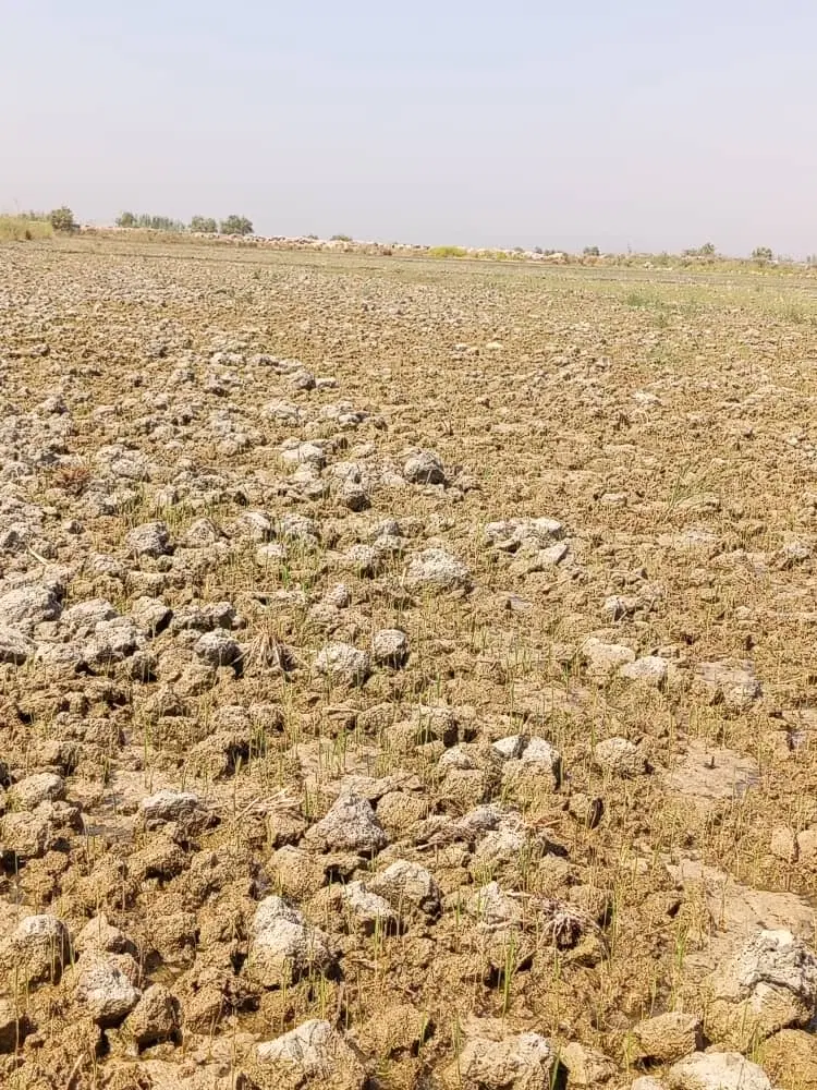 اجاره زمین