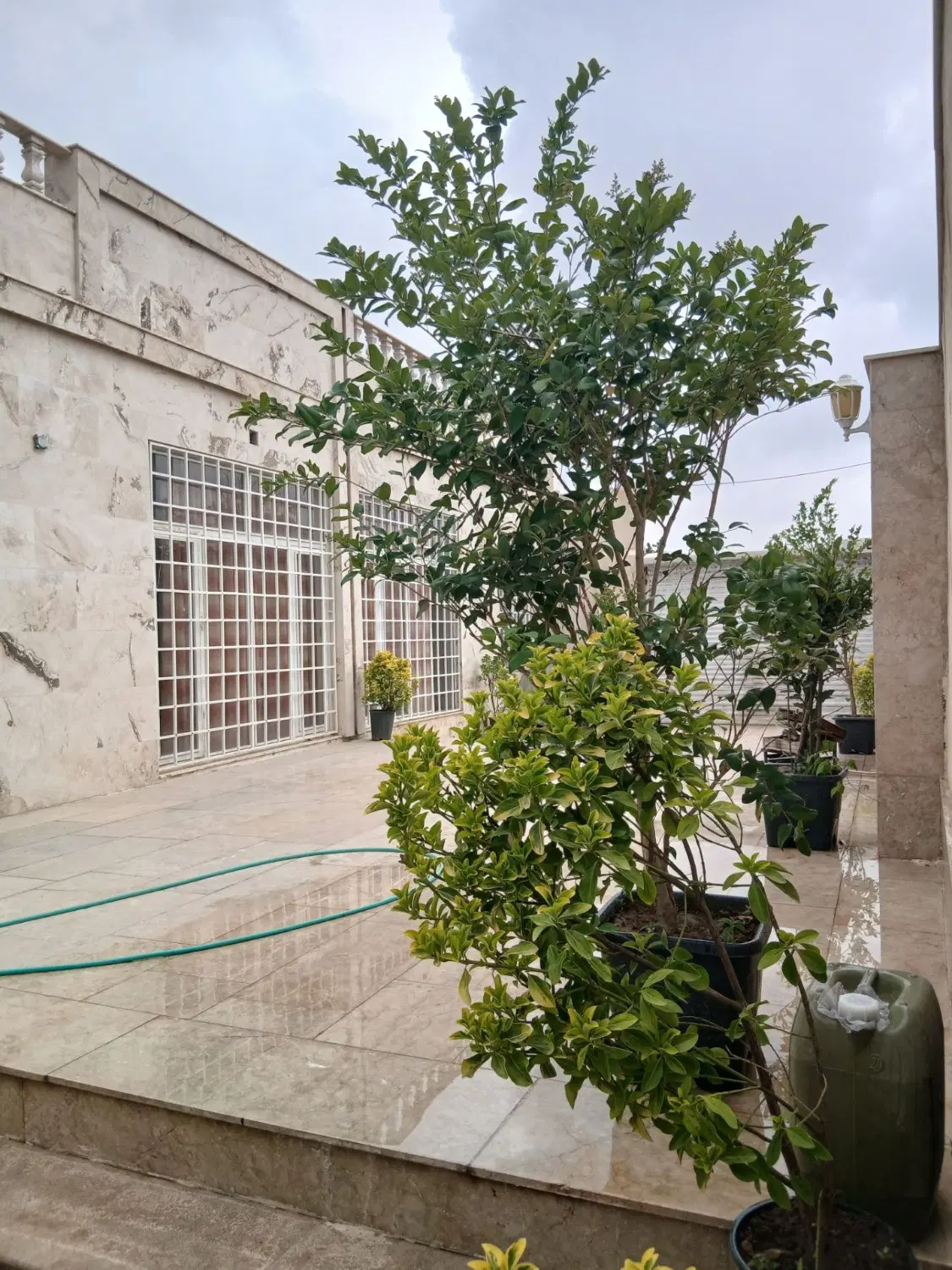 اجاره سالانه باغ شاهنامه ۳۶