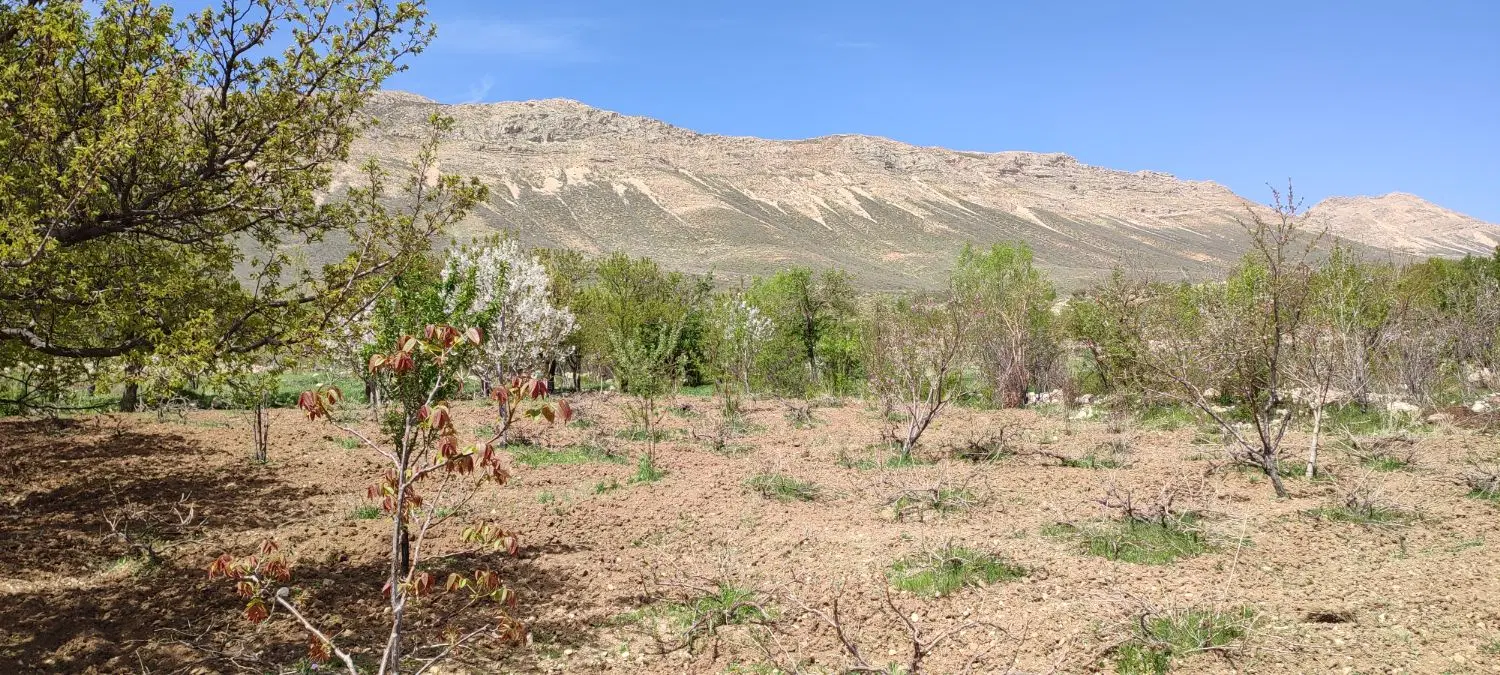 فروش یک قطعه باغ به همراه یک قطعه زمین کشاورزی