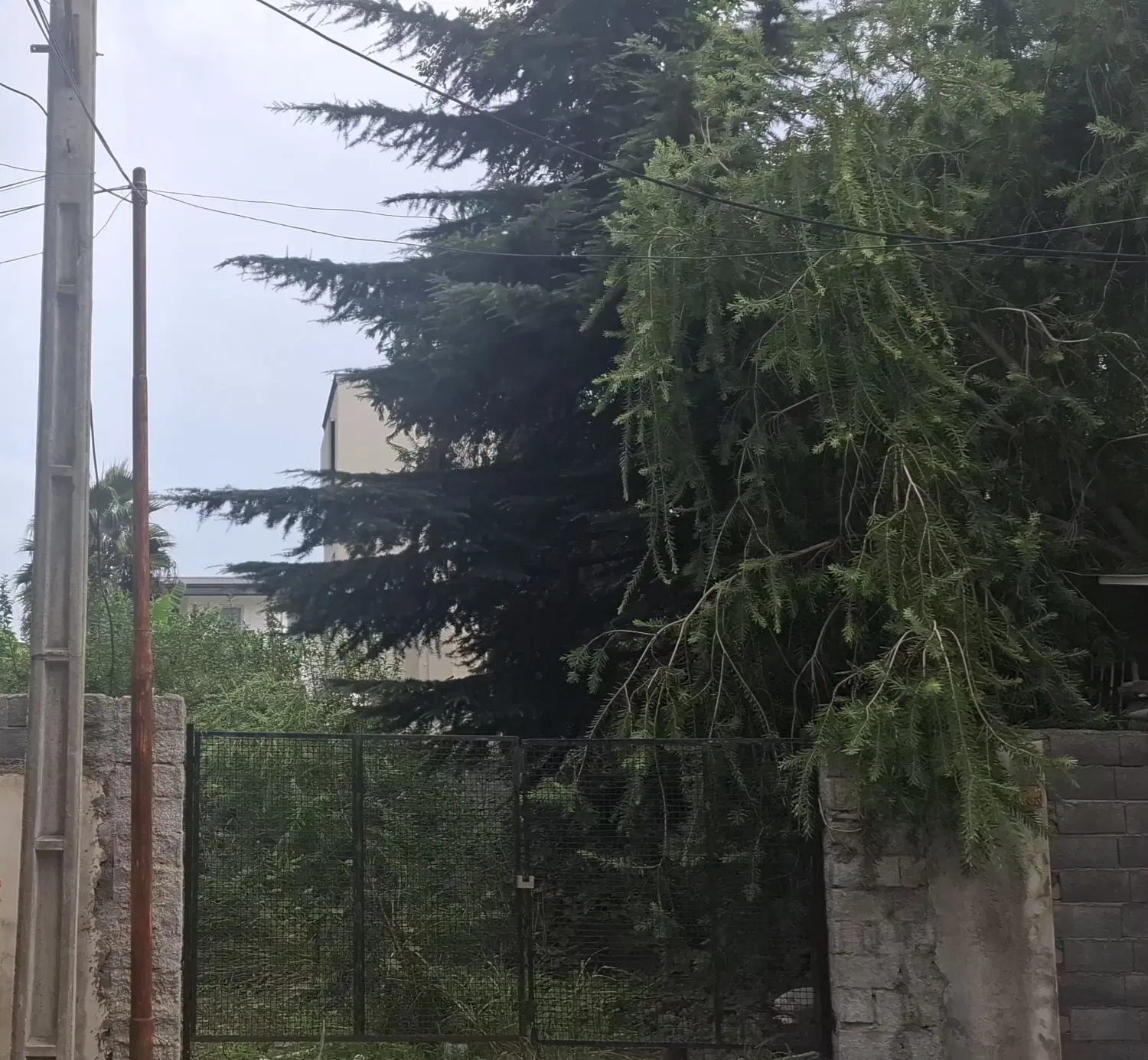 فروش زمین
