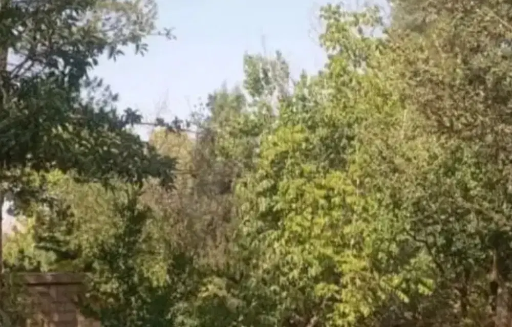 باغشهر گود گویم