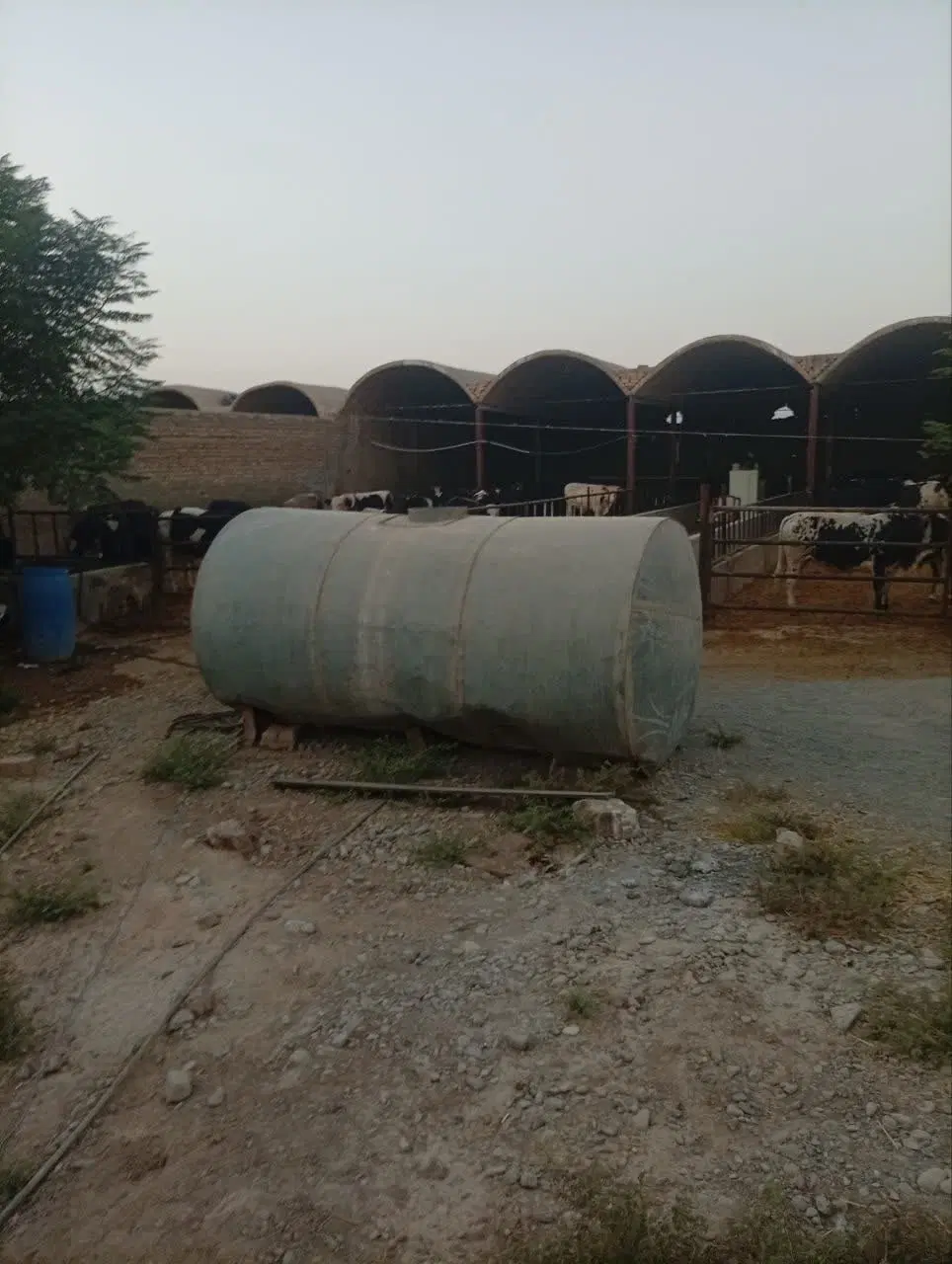 دامداری چهار دیواری فروشی