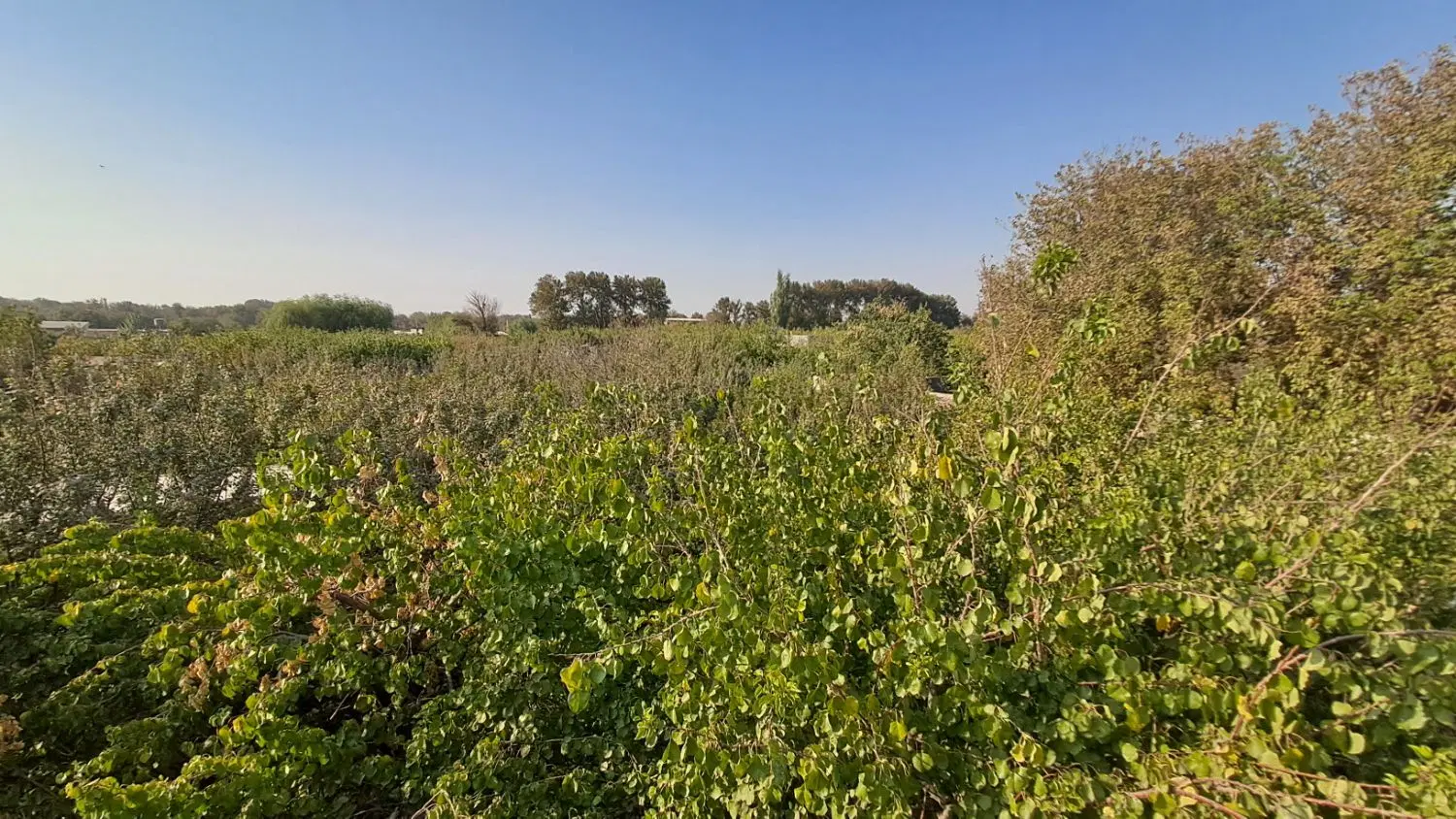 اجاره باغ ویلا سالانه