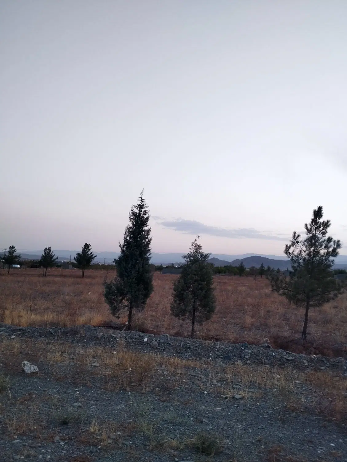 زمین باغستان ثامن