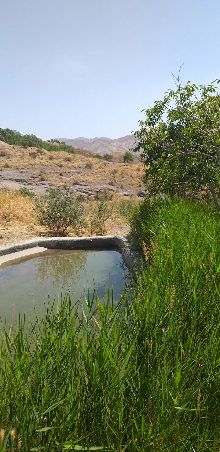 راستای روستای الولک ۱۵ هکتاری با چشمه و استخر